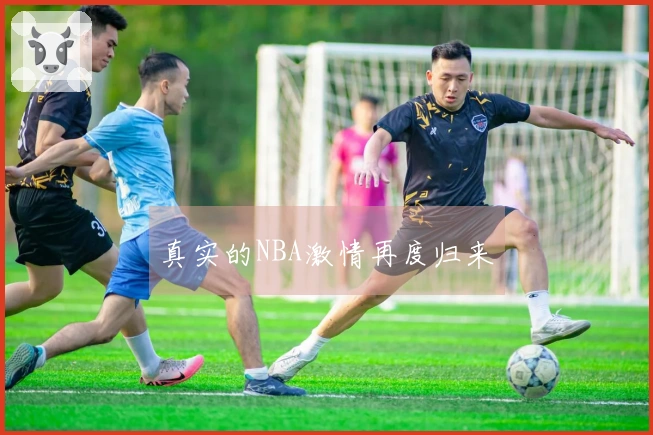 真实的NBA激情再度归来
